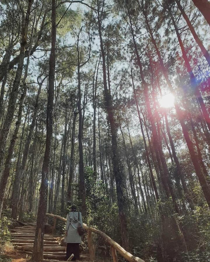 Seribu Batu Songgo Langit Resort & Camp Bantul Kültér fotó