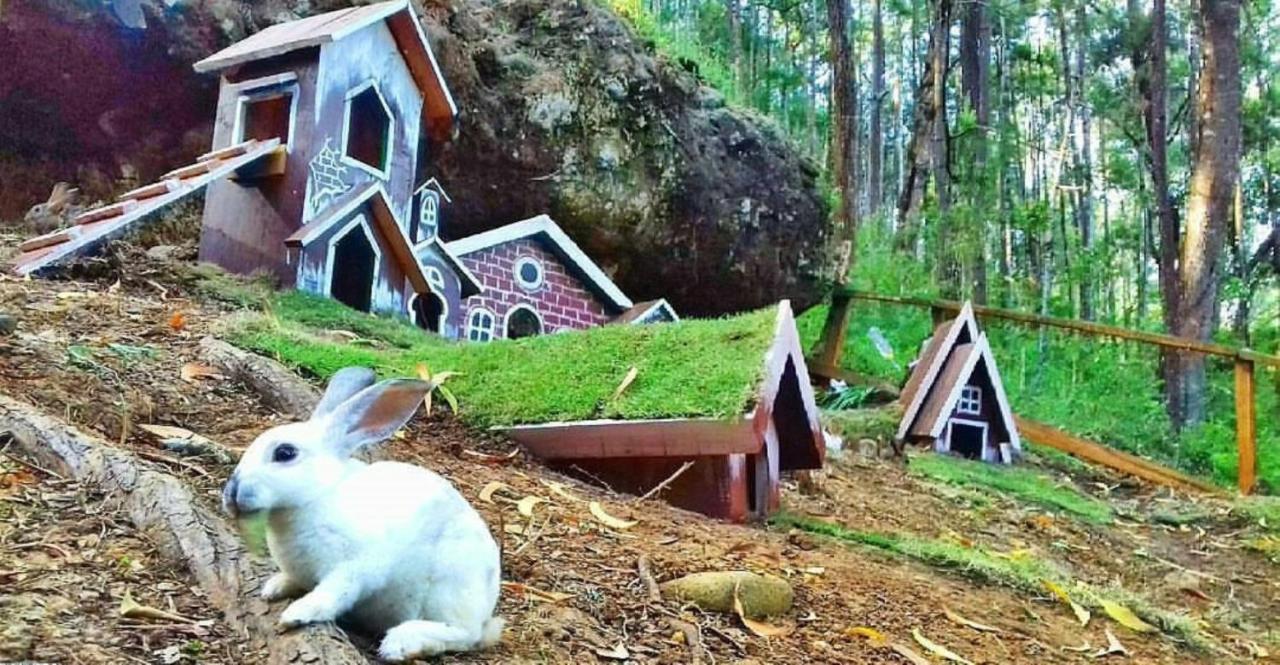 Seribu Batu Songgo Langit Resort & Camp Bantul Kültér fotó